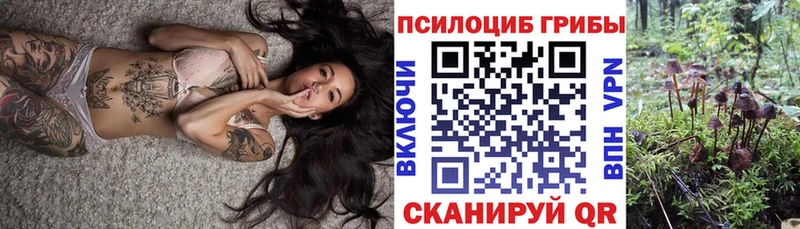 Псилоцибиновые грибы GOLDEN TEACHER  Купить закладки  Кондопога 